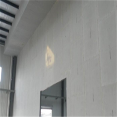 贵德新型建筑材料掺多种工业废渣的ALC|ACC|FPS模块板材轻质隔墙板